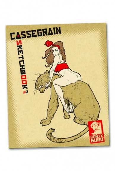 Cassegrain - 2