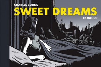 Alle strips van de auteur Burns Charles beschikbaar bij De Poort